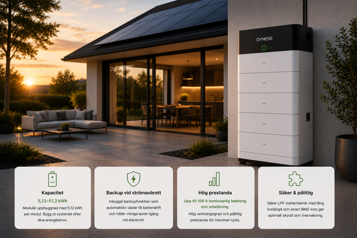 Dyness Stack100 Pro – recension, pris och tekniska specifikationer